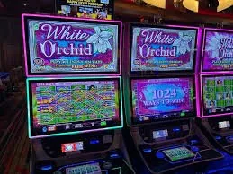 883bet Everything the App Puts at Your Fingertips
